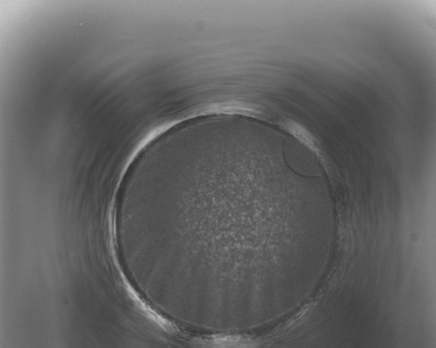 X0000081471032200701191800