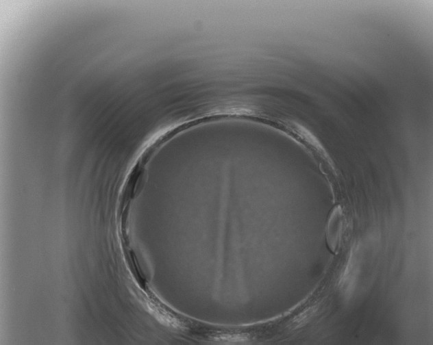 X0000081471035200701191800