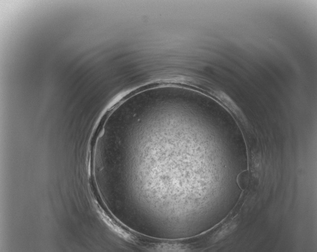 X0000081471036200701191800