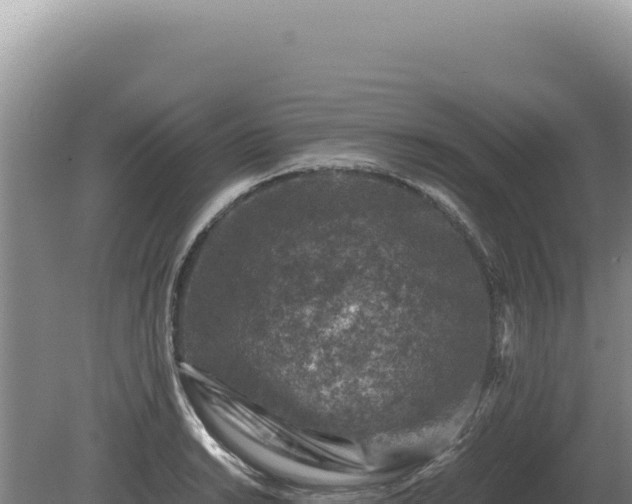 X0000081471038200701191800