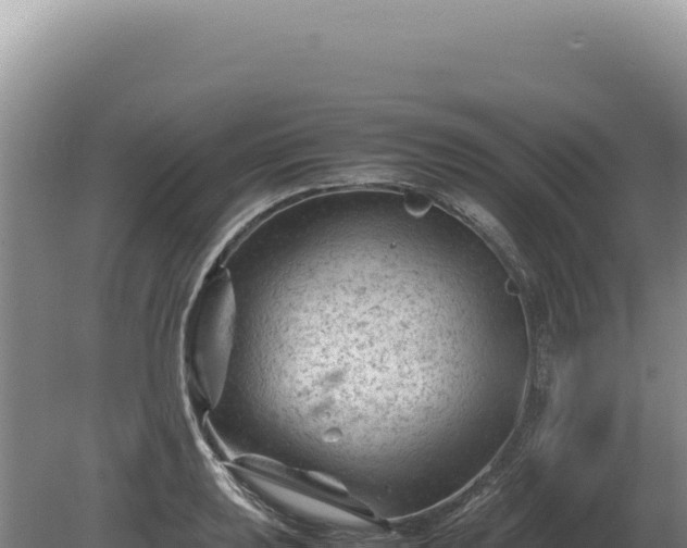 X0000081471039200701191800