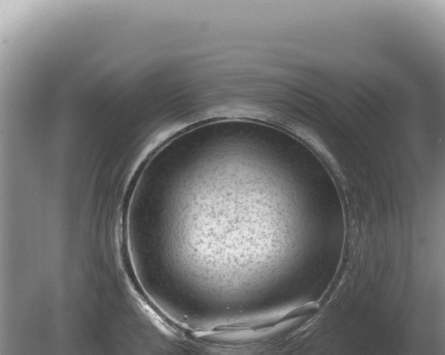 X0000081471040200701191800