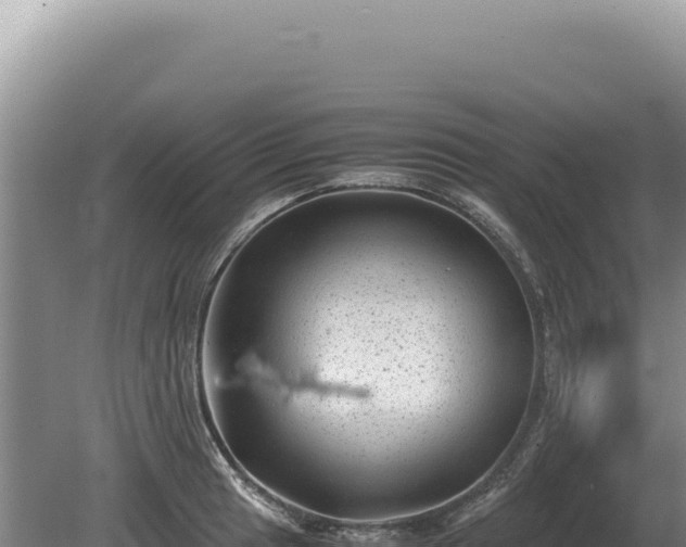 X0000081471041200701191800