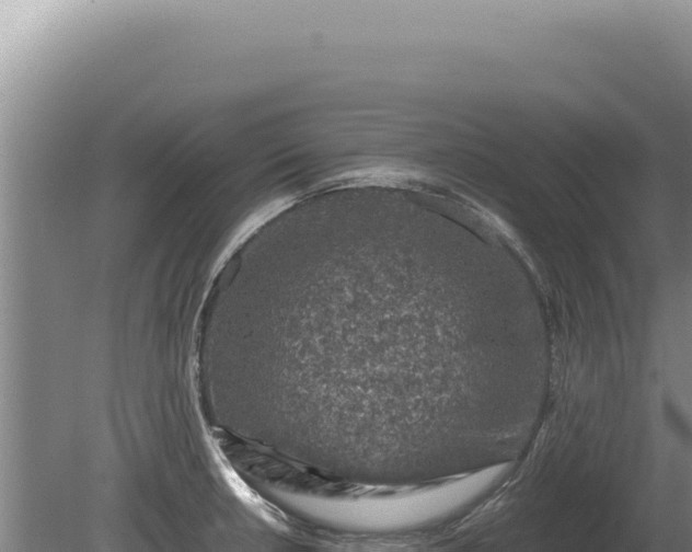 X0000081471042200701191800