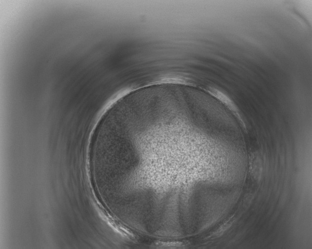 X0000081471043200701191800