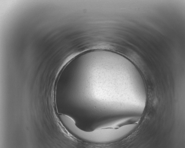 X0000081471044200701191800