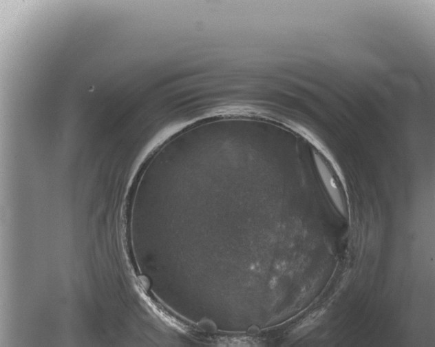 X0000081471045200701191800