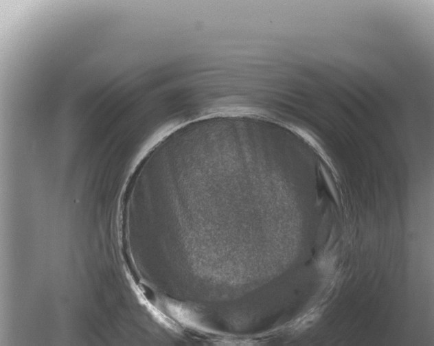 X0000081471046200701191800