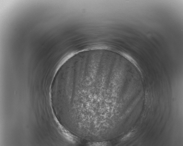 X0000081471047200701191801