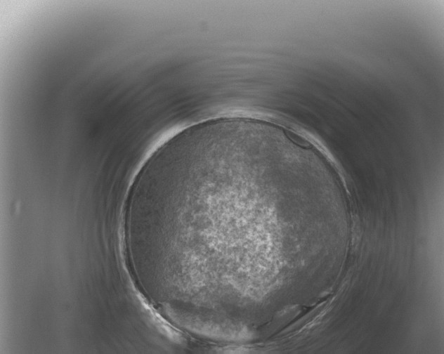 X0000081471048200701191801