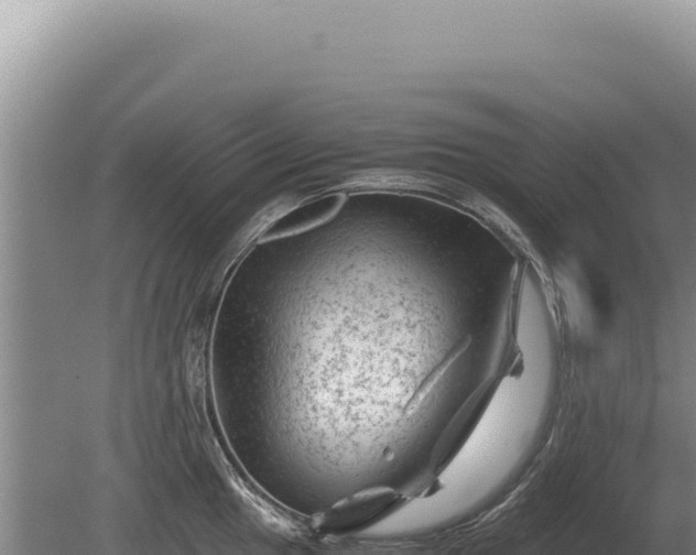 X0000081471049200701191801