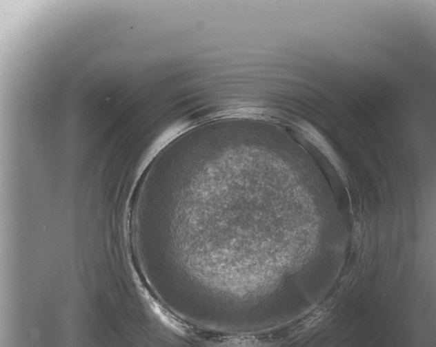 X0000081471050200701191801