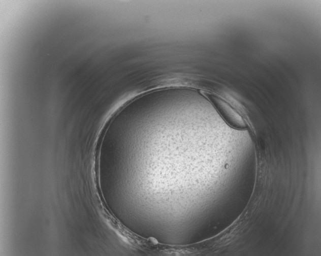 X0000081471051200701191801