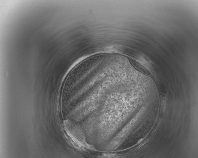 X0000081471052200701191801