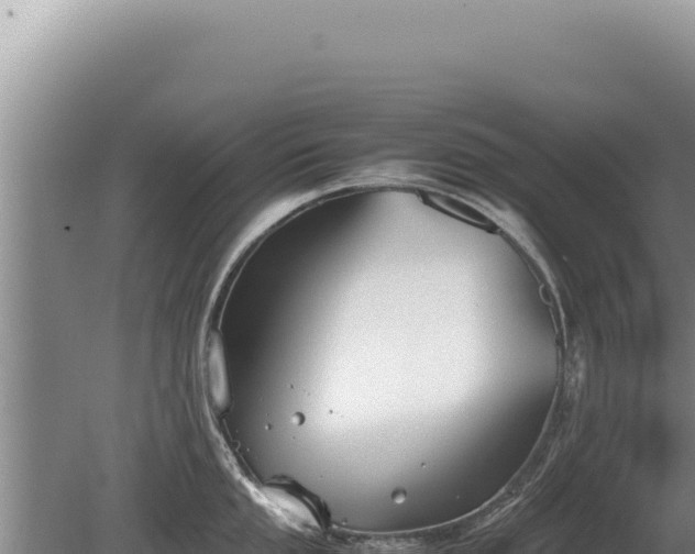 X0000081471053200701191801