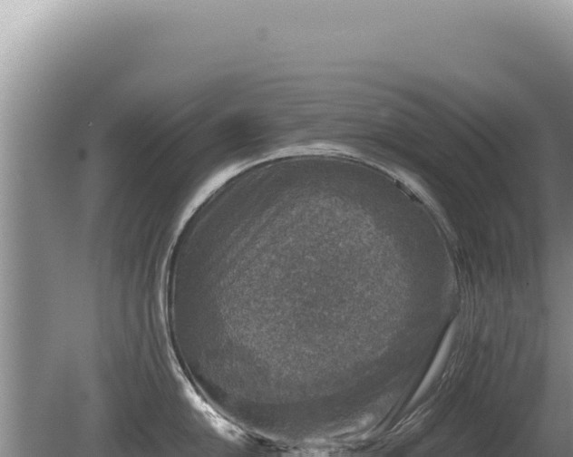 X0000081471054200701191801