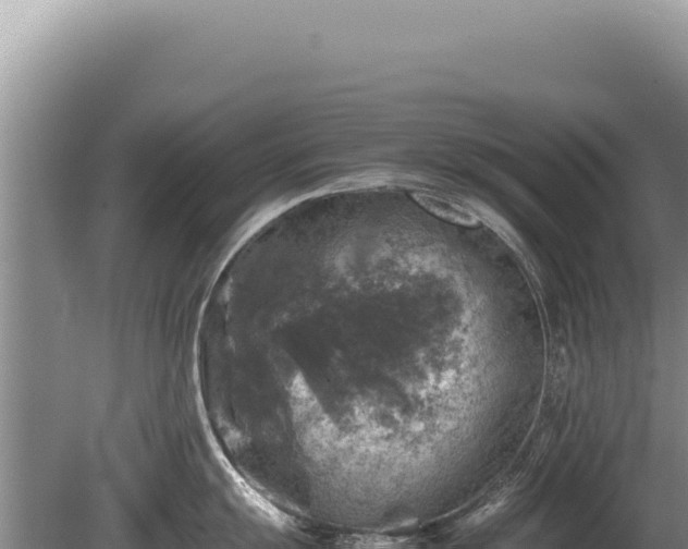 X0000081471055200701191801