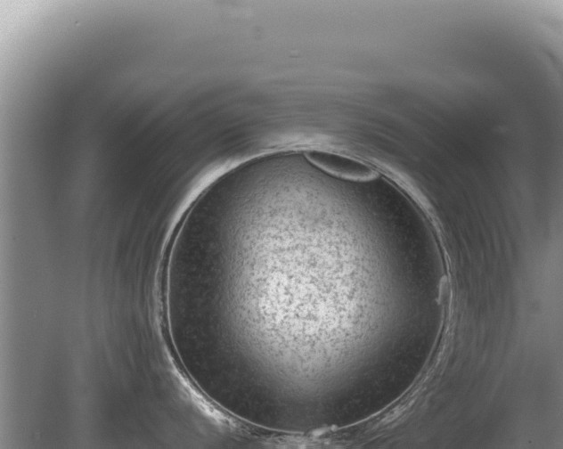 X0000081471056200701191801