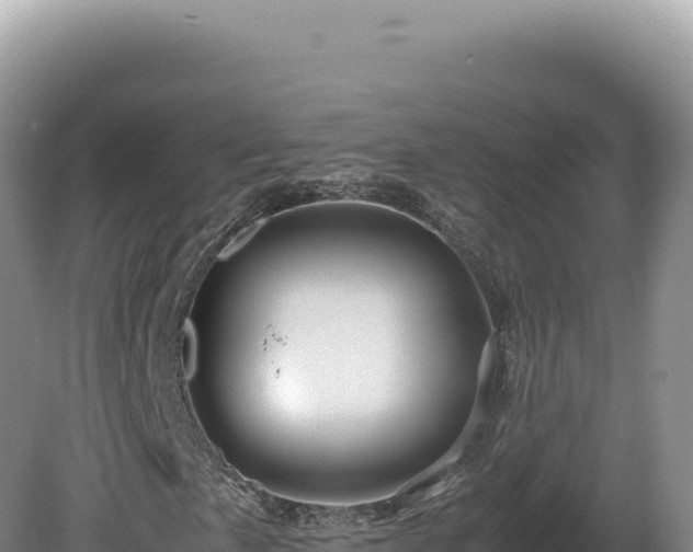 X0000081471057200701191800