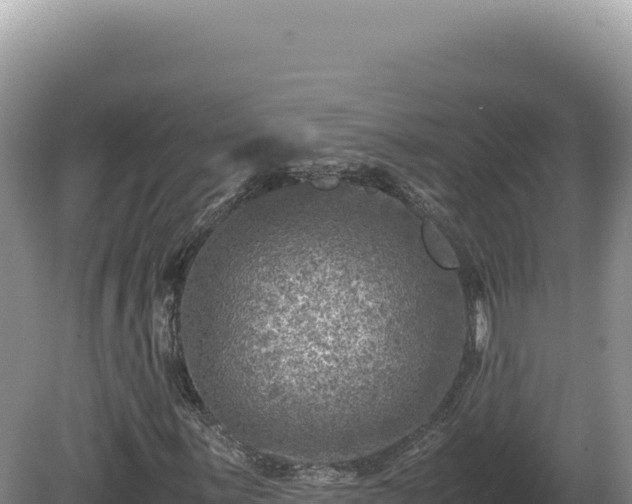 X0000081471059200701191800