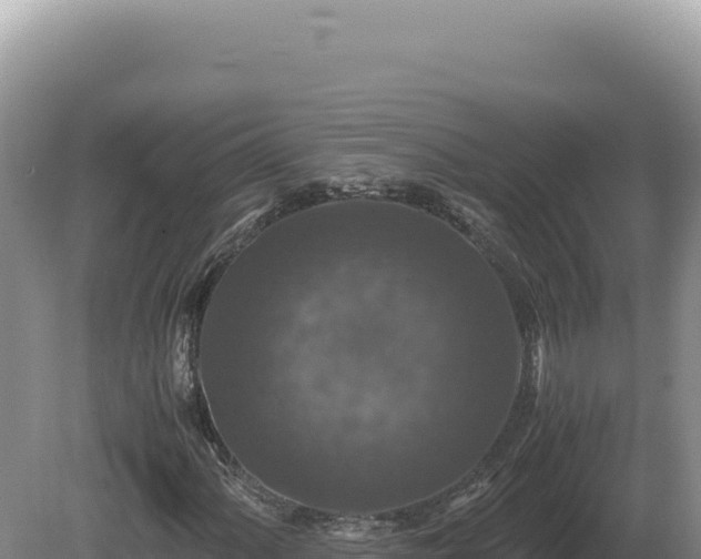 X0000081471060200701191800