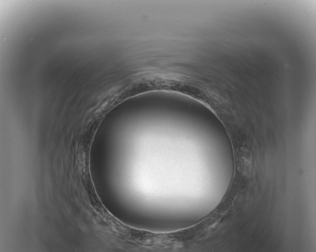 X0000081471061200701191800