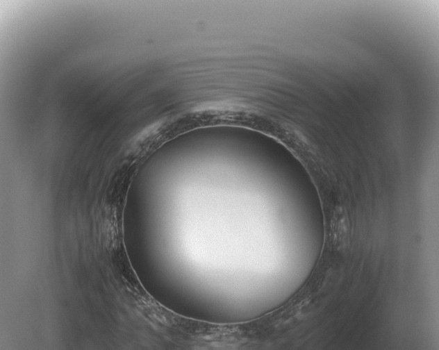 X0000081471062200701191800