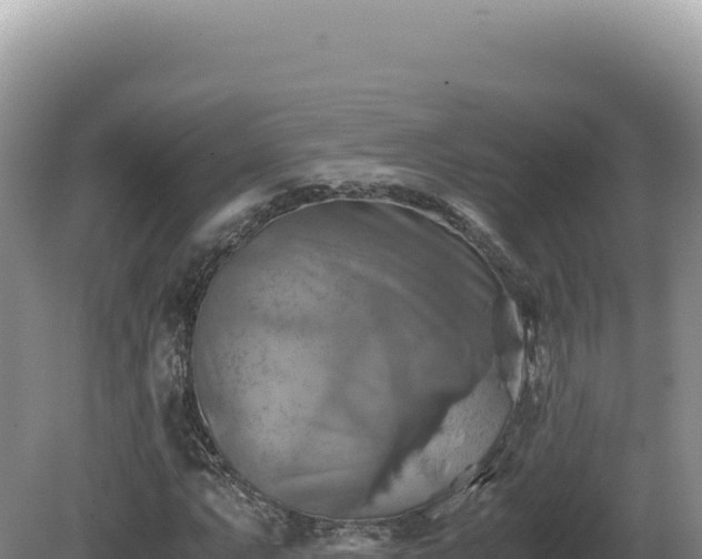 X0000081471063200701191800