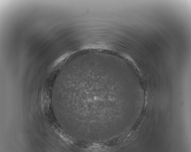 X0000081471064200701191800