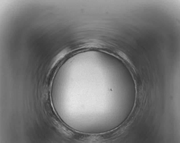 X0000081471067200701191800