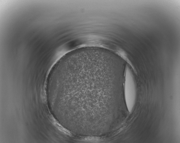 X0000081471068200701191800