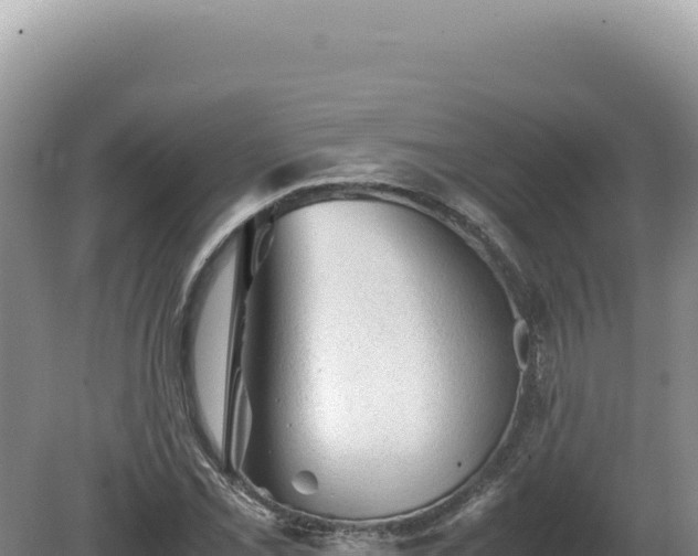 X0000081471069200701191800