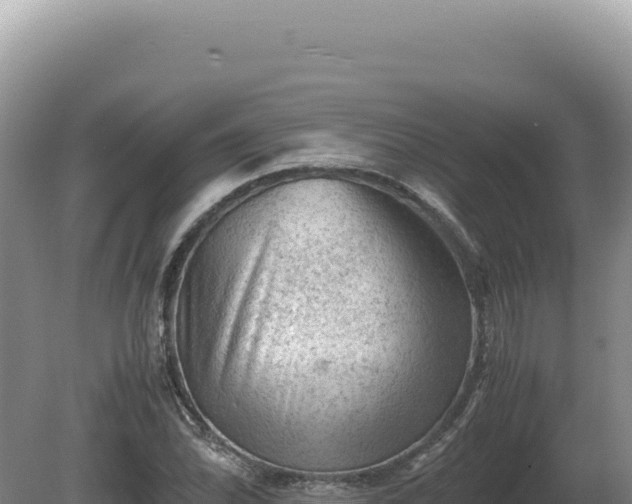 X0000081471070200701191800