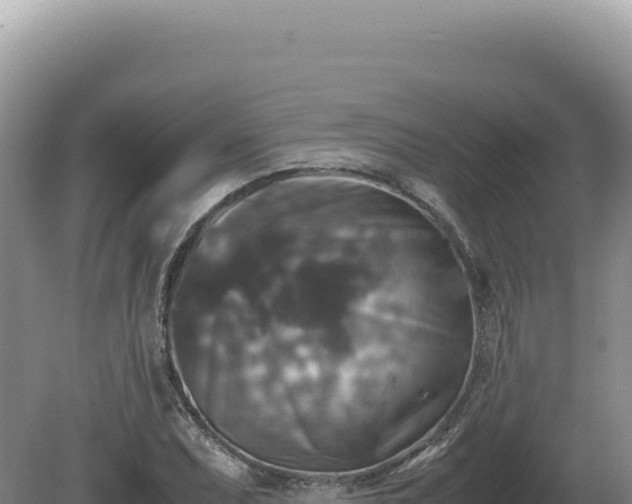 X0000081471071200701191800