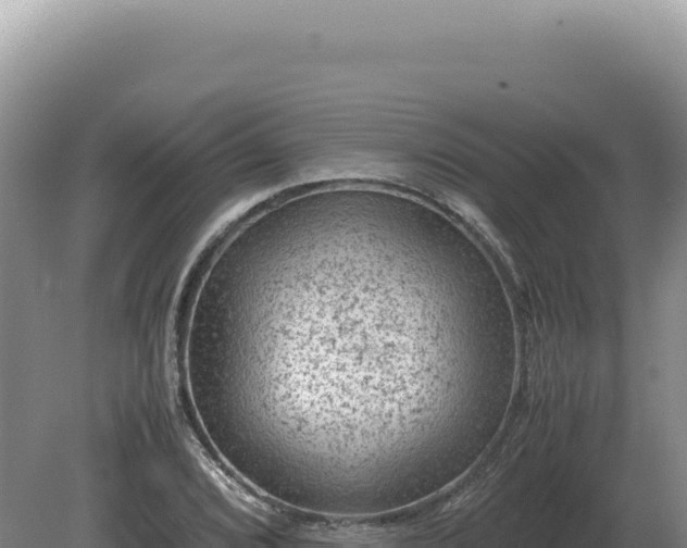 X0000081471072200701191800