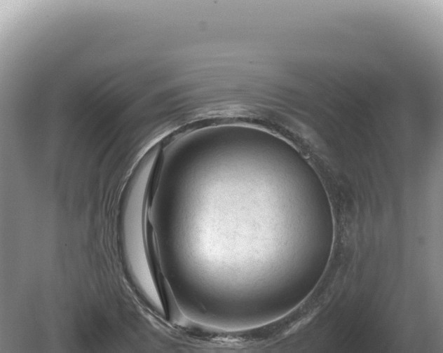 X0000081471073200701191800