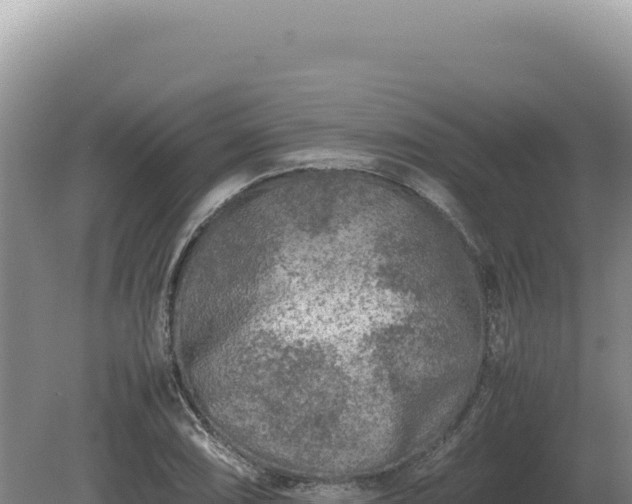 X0000081471074200701191800