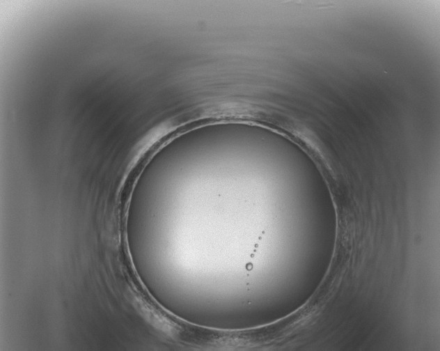 X0000081471075200701191800