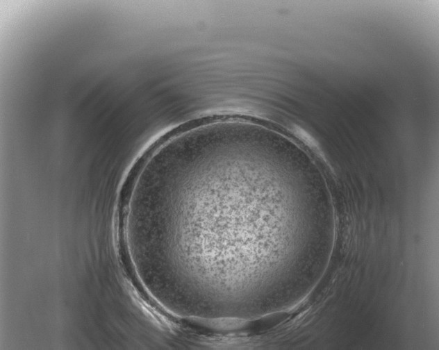 X0000081471076200701191800