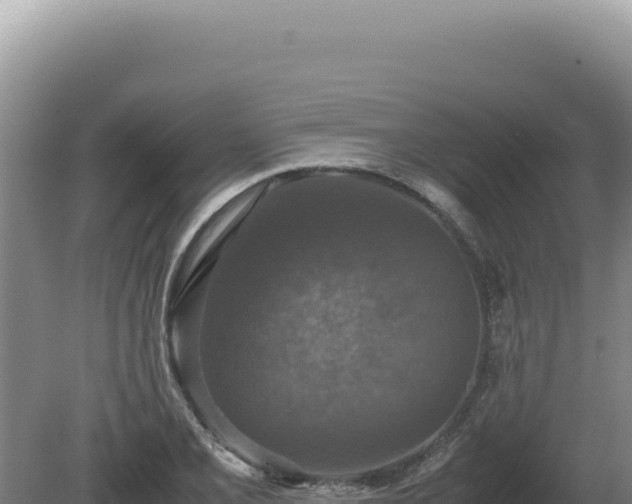 X0000081471077200701191800