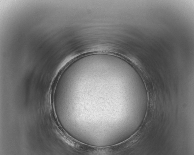 X0000081471078200701191759