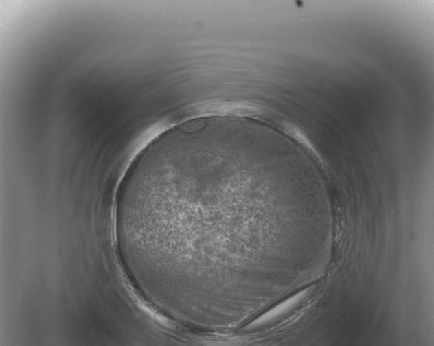 X0000081471079200701191759