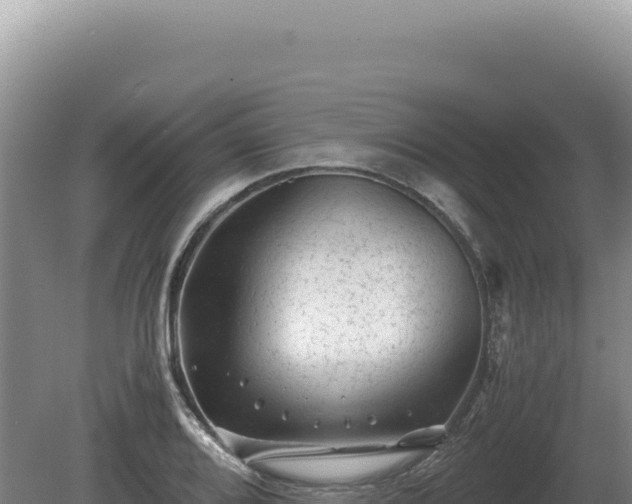 X0000081471080200701191759