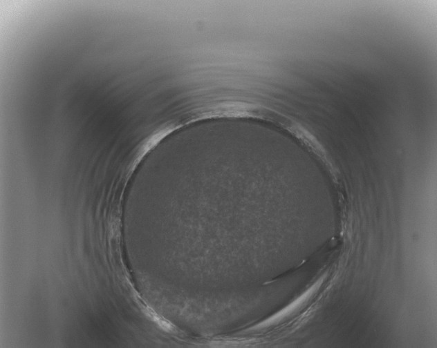 X0000081471081200701191759