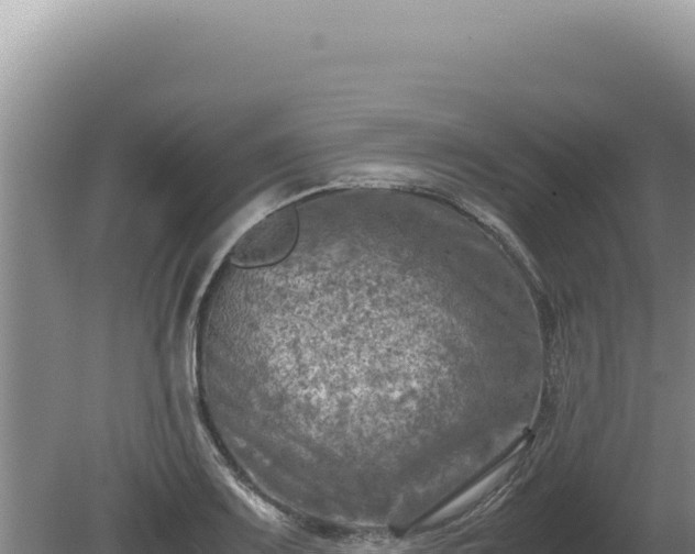 X0000081471083200701191759