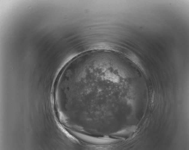 X0000081471084200701191759