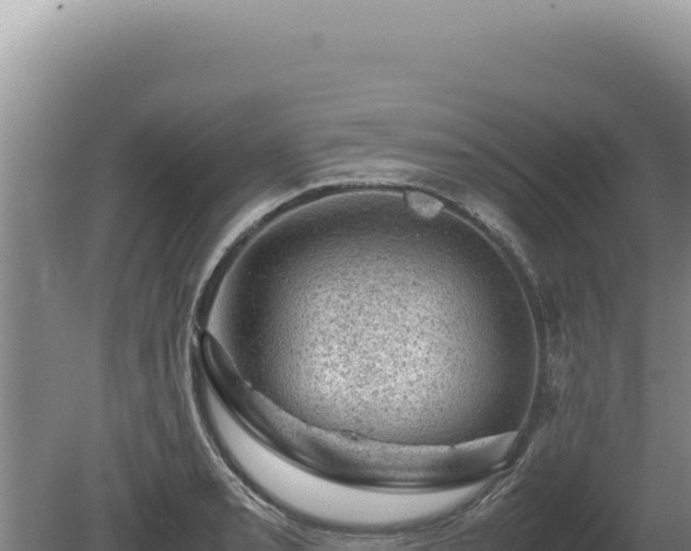 X0000081471085200701191759