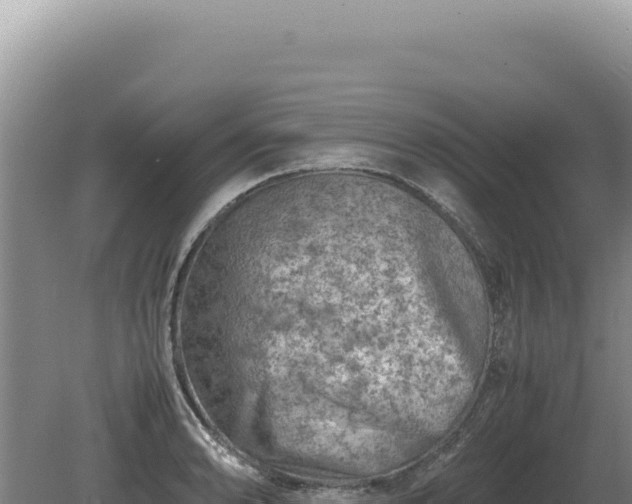 X0000081471086200701191759