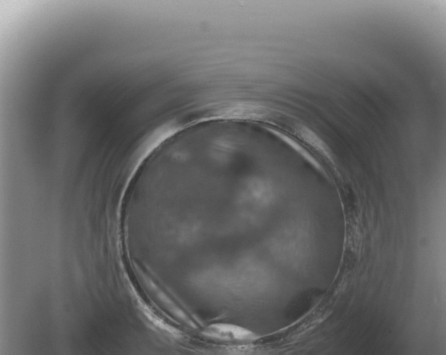 X0000081471087200701191759