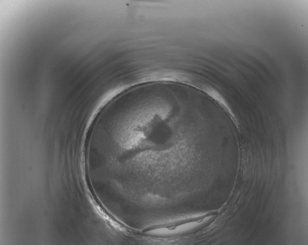 X0000081471088200701191759